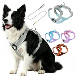 Dog Harness for Small Medium Large Dogs No Pull Breathable Adjustable Pet Chest Strap Outdoor Dog Supplies Puppy Vest Harness