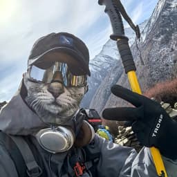 3D Cute Animal Balaclava Motorcycle Motocross Ski Snowboard Hat Helmet Liner Cat Dog Biker Neck Warmer Face Cap Cycling Headgear