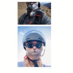 3D Cute Animal Balaclava Motorcycle Motocross Ski Snowboard Hat Helmet Liner Cat Dog Biker Neck Warmer Face Cap Cycling Headgear