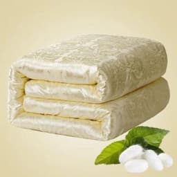 Natural Silk Blanket Summer Jacquard Duvets Thickening Winter Comforters Cotton Cover King Queen Twin Full Size Quilt