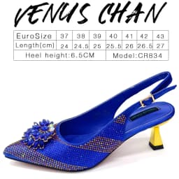 Venus Chan Italian Shoes and Bags Matching Set 2024 Silver Color Rhinestone Fashion High Heels for Women Pointed Toe Pumps