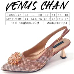 Venus Chan Italian Shoes and Bags Matching Set 2024 Silver Color Rhinestone Fashion High Heels for Women Pointed Toe Pumps
