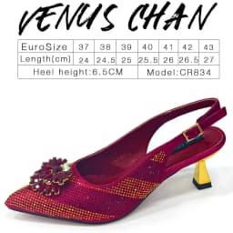 Venus Chan Italian Shoes and Bags Matching Set 2024 Silver Color Rhinestone Fashion High Heels for Women Pointed Toe Pumps