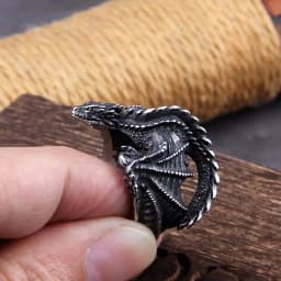 Viking Style Stainless Steel Huge Dragon Ring for Men Male Fashion Jewelry as gift with wooden box