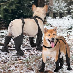 Anti-Slip Dog Shoes Pet Paw Dog Rain Booties Dirty-proof Anti-fall Dog Outdoor Suspender Sock Shoes Winter Waterproof Dog Boots