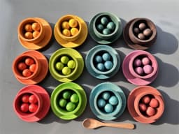 Sensory Wooden Montessori Toys Rainbow Pastel Sorting Bowls Dishes with Balls Acorns for Kids Play