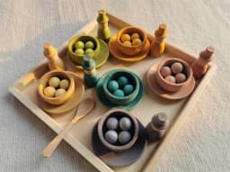Sensory Wooden Montessori Toys Rainbow Pastel Sorting Bowls Dishes with Balls Acorns for Kids Play