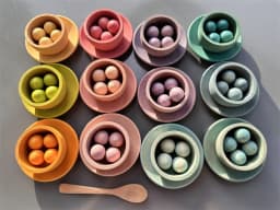 Sensory Wooden Montessori Toys Rainbow Pastel Sorting Bowls Dishes with Balls Acorns for Kids Play