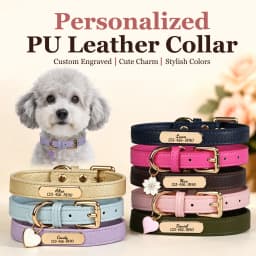 Luxury & Soft Leather Personalized Dog Collar and Pendant Pet Puppy Cat ID Nameplate Engraved for Small Medium Dogs
