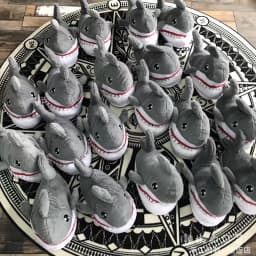 Cartoon Shark Funny Shoes Girls Lovely Indoor Slippers Ladies Home Shoes 2022 Fashion Plush Warm Slippers Women Winter Shoes