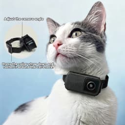 HD 1080P Pet Collar Camera Outdoors Wireless Cat Collar Camera No WiFi Needed Video Records for Cats Dogs Birthday Gift Mini Cam