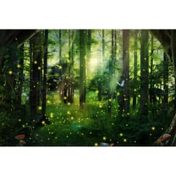 Dreamy Forest Fairy Tale Castle Wonderland Jungle Vinyl Background Baby Birthday Wedding Photography Backdrop Photo Studio Prop