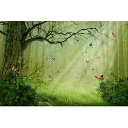 Dreamy Forest Fairy Tale Castle Wonderland Jungle Vinyl Background Baby Birthday Wedding Photography Backdrop Photo Studio Prop