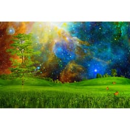 Dreamy Forest Fairy Tale Castle Wonderland Jungle Vinyl Background Baby Birthday Wedding Photography Backdrop Photo Studio Prop