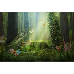 Dreamy Forest Fairy Tale Castle Wonderland Jungle Vinyl Background Baby Birthday Wedding Photography Backdrop Photo Studio Prop