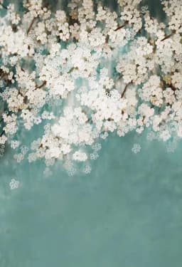 Mehofond Photography Background Oil Painting Flowers Abstract Texture Kids Birthday Adult Portrait Decor Backdrop Photo Studio