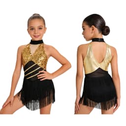 Kids Girls Cha-cha Salsa Latin Dance Costume Shiny Sequins Halter Sleeveless Mesh Tassels Leotard Jazz Tango Samba Rumba Outfits