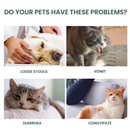 Probiotic Drops to Boost Pet Immunity, Relieve Discomfort in Cats and Dogs, Oral Care for Pets, Bad Breath Solution