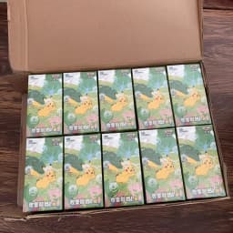 Wholesale 151 Pkm Ptcg Card Simplified Chinese Zhu Zi Collected 151 Series Change Series Blind Box Card Gengar Collectible Card