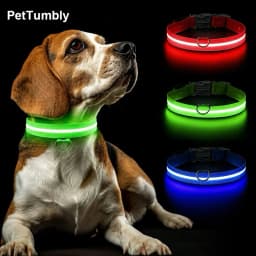 3 Modes Dog Luminous Charge Collar Led Usb Cat Dogs Collars Detachable Night Led Glow Dog Loss Prevention Collar Pet Accessories