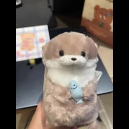 Cute Anime Bocchi The Rock Plush Funny Cartoon Doll Toy Key chain Keyring Dolls Gifts
