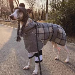 Warm Thicken Big Dog Coat Jacket for Medium Large Dogs Winter Pet Clothes Greyhound Wheeling Clothing Mascotas Ubranka Dla Psa