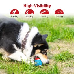 OUZEY 4Pcs/Set Pets Dog Squeaky Tennis Ball Toys Bite Resistant High Bounce Sound Rubber Ball for Small Medium Dogs Training Toy