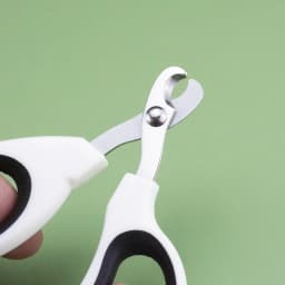 Professional Cat Nail Scissor Pet Dog Nail Clippers Toe Claws Trimmer Pet Grooming Supplies Products for Small Dogs Dog Gadgets