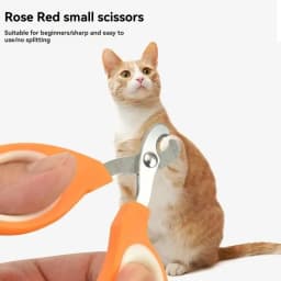 Professional Cat Nail Scissor Pet Dog Nail Clippers Toe Claws Trimmer Pet Grooming Supplies Products for Small Dogs Dog Gadgets