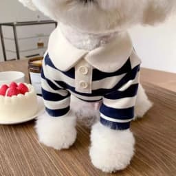 Striped Pet Dog Clothes POLO Shirt Preppy Lapel Puppy T-Shirt Soft Apparel for Small Dogs Yorkie Bichon Poodle Pomeranian Cat