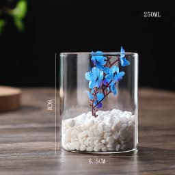 New Transparent Glass Hydroponic Vase Modern Cylinder Flower Centerpiece Clear Vases Use for Floral Wedding Home Decoration