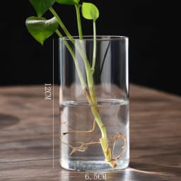 New Transparent Glass Hydroponic Vase Modern Cylinder Flower Centerpiece Clear Vases Use for Floral Wedding Home Decoration