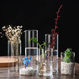New Transparent Glass Hydroponic Vase Modern Cylinder Flower Centerpiece Clear Vases Use for Floral Wedding Home Decoration