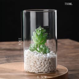 New Transparent Glass Hydroponic Vase Modern Cylinder Flower Centerpiece Clear Vases Use for Floral Wedding Home Decoration