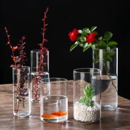 New Transparent Glass Hydroponic Vase Modern Cylinder Flower Centerpiece Clear Vases Use for Floral Wedding Home Decoration