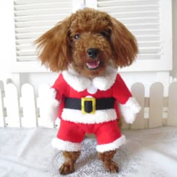Winter Christmas Pet Cat Costumes Funny Santa Claus Clothes For Small Cats Dogs Xmas New Year Cat Clothing Kitty Kitten Outfits