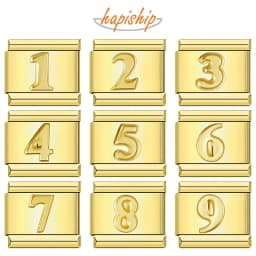 Hapiship 2025 New Fashion Number 0 1 2 3 4 5 6 7 8 9 Italian Charm Fit 9mm Stainless Steel Bracelet Making Women Jewelry DJ1449