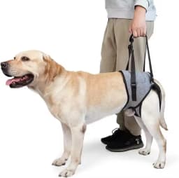 Adjustable Dog Lift Sling Hind Leg Carry Strap Portable Walking Assist Support Belt for Senior Injured Dogs