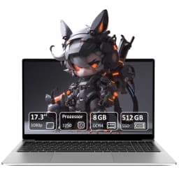 17.3" Fhd Ips Laptop with Amd Ryzen 3 3250C, 8Gb Ddr4, 512Gb Nvme Ssd, Windows 11 Pro, Wifi 6, and Bluetooth 5.3 - for Office & Study