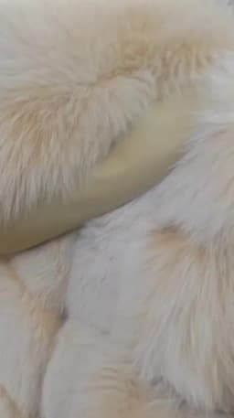 Women's Hooded Fox Fur Vest Coat Short 2025 Fur Outerwear Fashionable And Elegant