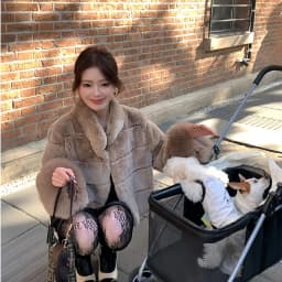 Women Faux Fur Coats Jackets Stand Collar Short Coat Thick Warm Y2k Streetwear Jacket Elegant Work Outerwear Autumn Winter
