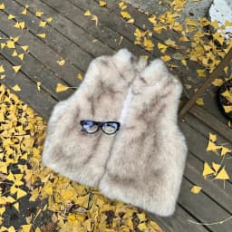 Women Faux Fur Short Coats Jackets Stand Collar Sleeveless Coat Thick Warm Y2k Streetwear Jacket Elegant Outerwear Autumn Winter
