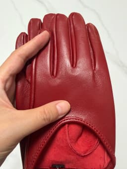 Women's Sping Autumn Natural Sheepskin Leather Glove Female Genuine Leather Motorcycle  Driving Glove R3267