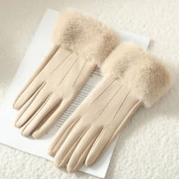 Temperament Women Winter Imitation of Mink Fur Suede Leather Gloves Keep Warm Touch Screen Thickened Add Velvet Fashion Elegant