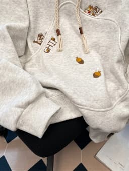 Unique Embroidered Hoodie Women's Spring Autumn Fleece Loose Casual Cute Top Korean Style Long Sleeve Cotton Inner Liner