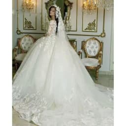 Vintage Lace V Neck Wedding Dresses Princess Ball Gown Bridal Gowns Shinny Tulle Long Sleeves Dubai Marriage Dress Customized