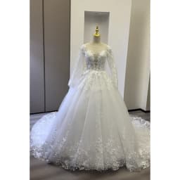 Vintage Lace V Neck Wedding Dresses Princess Ball Gown Bridal Gowns Shinny Tulle Long Sleeves Dubai Marriage Dress Customized