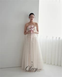 OLOEY Simple Tulle Sweetheart Collar Korea Wedding Dress Photo Shoot Pleat A-Line Bridal Gown Customized Garden Wedding Dress