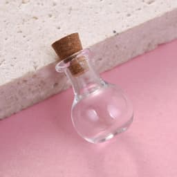 10pcs Small Clear Glass Wishing Bottles with Wood Stoppers Mixed Shape Micro Containers for Jewelry Decoration and Display