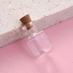 10pcs Small Clear Glass Wishing Bottles with Wood Stoppers Mixed Shape Micro Containers for Jewelry Decoration and Display